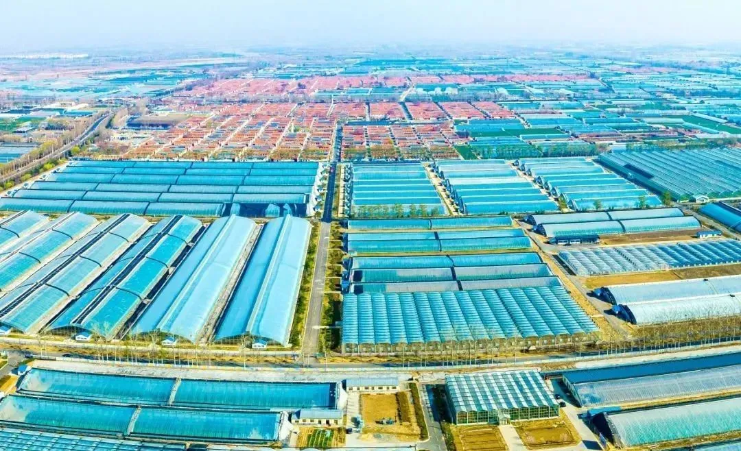 全国知名的智慧农业项目案例